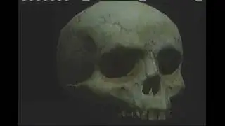 how to get all mythic skulls