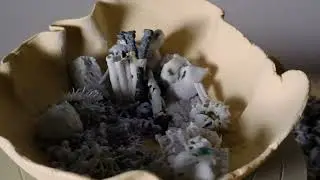 PAPER CLAY SPERIMENTALE PERCORSO ARGILLA VIDEO 1