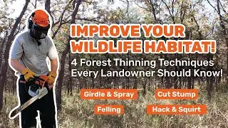 Thinning Trees w/ Forest Stand Improvement (FSI) - Girdle & Spray, Hack & Squirt, Felling, Cut Stump