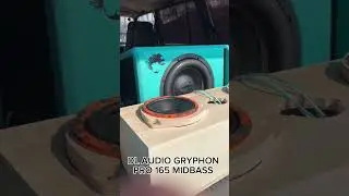 DL AUDIO GRYPHON PRO 165 MIDBASS.