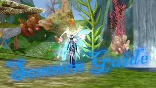 Sommen Guide My First Run - Order and Chaos Online