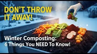 Don&rsquo;t Throw Away Kitchen Waste: Composting Kitchen Waste in Winter: 6 Things You Need to Know!