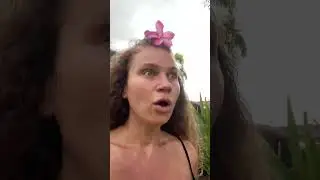 КАК? Я буду делиться опытом в Zoom.
