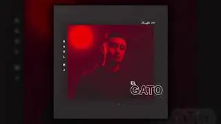Raul Mj - El Gato (Audio)