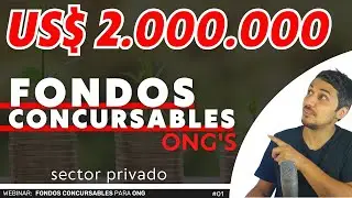 ♻️​ FONDOS CONCURSABLES para ONG - Sector Privado - Proyecto Social - [webinar] 001