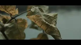 Color Grading Made Simple