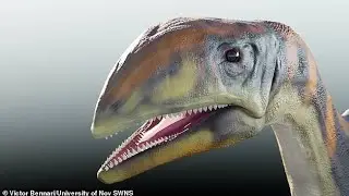 Newly discovered dinosaur 