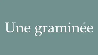 How to Pronounce ''Une gramin&eacute;e'' (A grass) Correctly in French