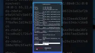 T&eacute;cnica OSINT para Conocer Informaci&oacute;n de un Dominio con Kali Linux #SHORTS