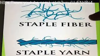 Textile Fiber