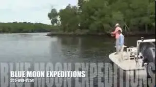 LIVE BAIT FISHING FOR TARPON IN THE EVERGLADES WITH BLUE MOON EXPEDITIONS