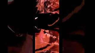 The moment when Yami praised  his crew and went demon mode