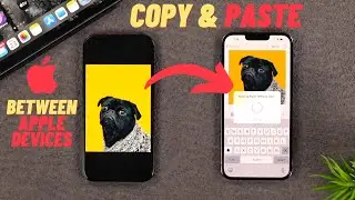 Easy Trick to Copy and Paste Between Apple Devices! [iPhone & iPad]