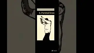 ultimate fighting skin demonstrate