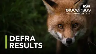 So how is BNG going to work then? Results of the Defra consultation