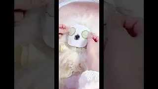 Puppy's Grooming Glamour! 🐶✨ #pets #grooming #puppy