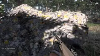 ArmA 3 The east wind: Blackfoot down (GeForce GTX)