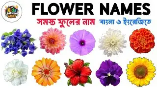 বিভিন্ন ফুলের নাম বাংলা ও ইংরেজিতে | Flower Names For Kid's - English and Bengali 