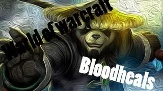 World Of Warcraft RBG's from Resto Druid (target caller going crazy