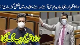 Senator Javed Abbasi And Hammad Azhar Fight !! Blasting Speech In Senate !! | 17 june 2020