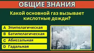 Тест на эрудицию и общие знания | ГК | ОБЩИЕ ЗНАНИЯ | IQ-ТЕСТ #ОБЩИЕ ЗНАНИЯ