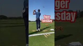 Checking in on Tiger Woods' swing&nbsp;👀 (🎥 IG/tgrliveevents)