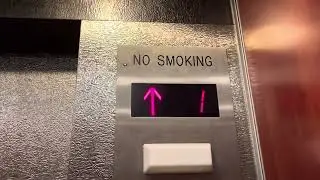Elevator at Gittleson Hall, Hofstra University, 107 Hofstra University, Hempstead, NY