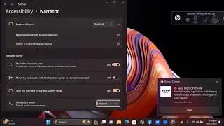 Mastering Narrator Settings A Practical Guide