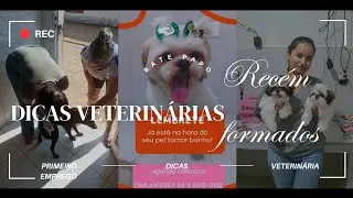 5 DICAS PARA VETERIN&Aacute;RIOS REC&Eacute;M FORMADOS l DICAS DA VET