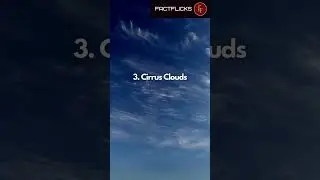 Types of Clouds & What They Mean? | Fun Facts for Kids #shorts