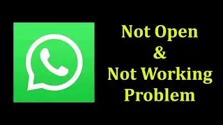 Whatsapp not working