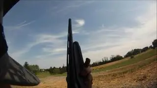 PA pigeon hunt 5/25/2016