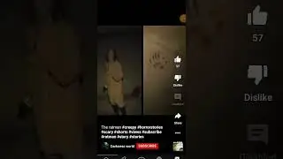 rat man