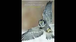 Neuronal Signaling and Synaptic Transmission | Chapter 6 - Animal Physiology
