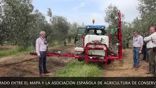 Jornada de Campo 21|03|2024. Manejo de Cubiertas vegetales en Olivar. Finca “El Calerón” (Córdoba)