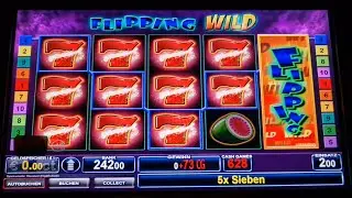 7000 Euro Jackpot auf 2 Euro Fach Bally Wulff Spielautomaten Casino Freispiele 