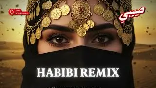 DJ Habibi Vibes 2025 | High Energy Arabic EDM Nonstop Mix