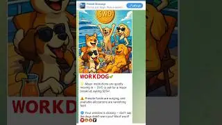 #work Dogs (WD) Token#highlights #memes#coin