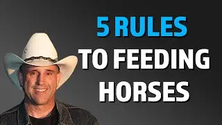 The Five Rules To feeding Horses by Geoff Tucker, DVM.