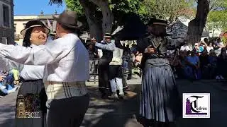 Día de Canarias. Concierto de Los majuelos y la Banda de Música Unión y Amistad 2025