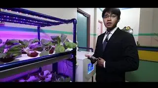 [Ardroponics] An Automated Hydroponic System