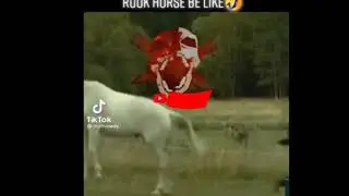 Ruok FF Horse Be like😂😂