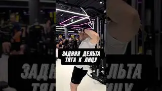 🔥КАК НАКАЧАТЬ ЗАДНЮЮ ДЕЛТЬУ?! ТЯГА К ЛИЦУ