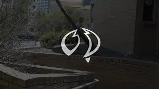 Hainesy - On the ropes