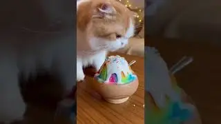 #aivideo #viralvideo #netflix #cat #videoshorts