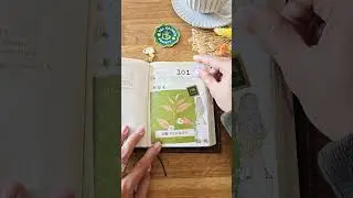 Week 15/52 of my Tea Journal #junkjournal #journalflipthrough #journaling # #tealover #journalideas