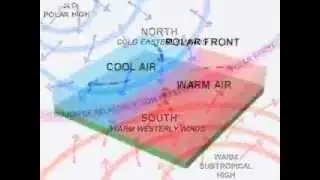 Temperate Cyclone \ Midlatitude Cyclone: Development of a wave.