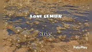 Lone Lemur - Sludge