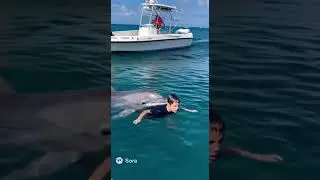 Tourists Capture Dolphin Saving a Drowning Boy on Camera 😱🌊