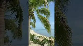 gmji